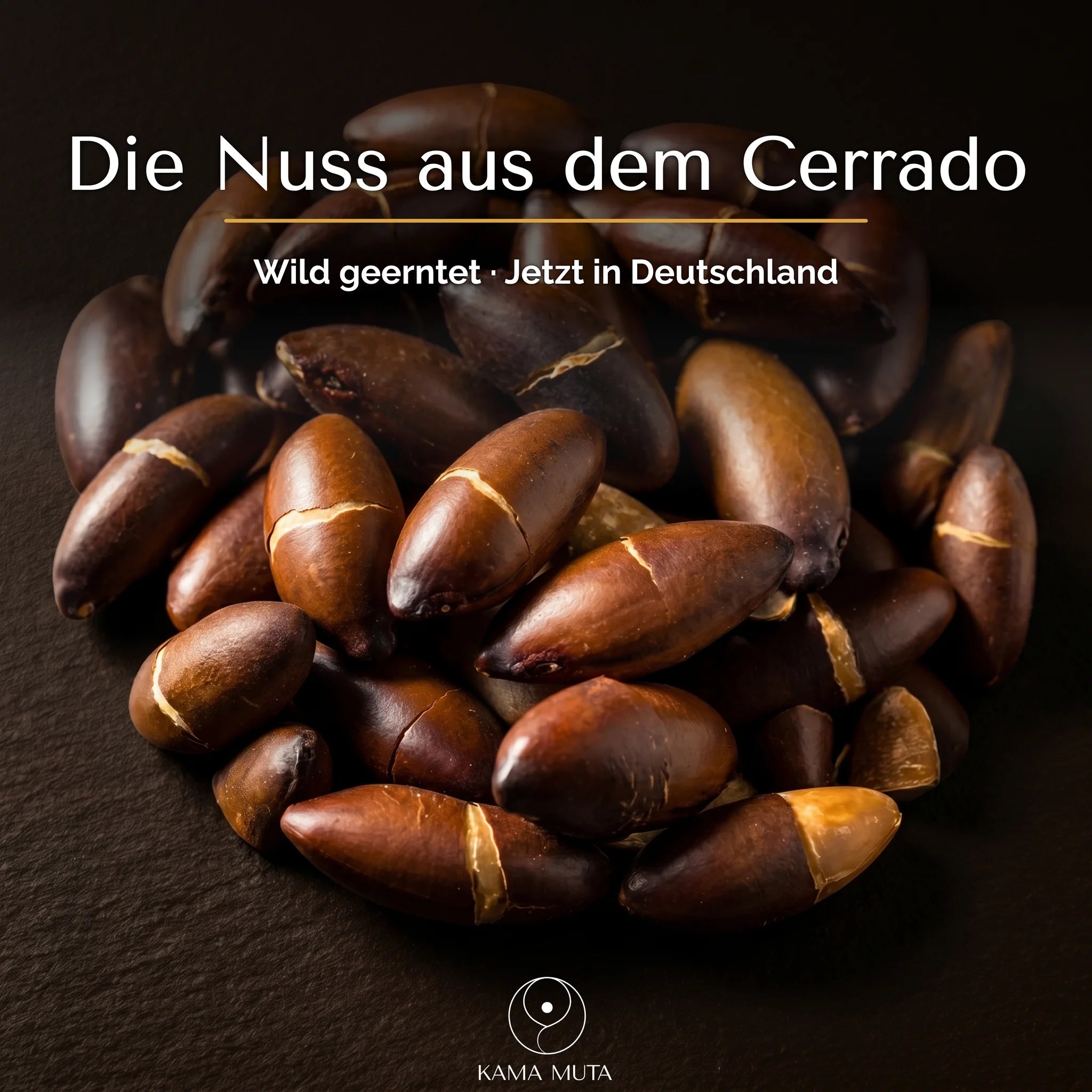 Geröstete Baru-Nüsse – Protein-Snack aus dem Cerrado