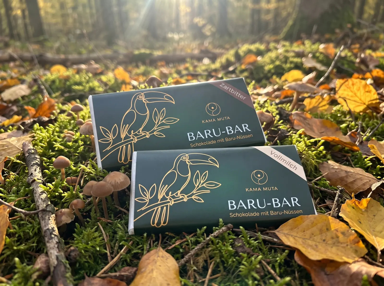 BARU-BAR Zartbitter und Vollmilch auf Moos im Herbstwald zwischen Laub und kleinen Pilzen (KI-generiert)