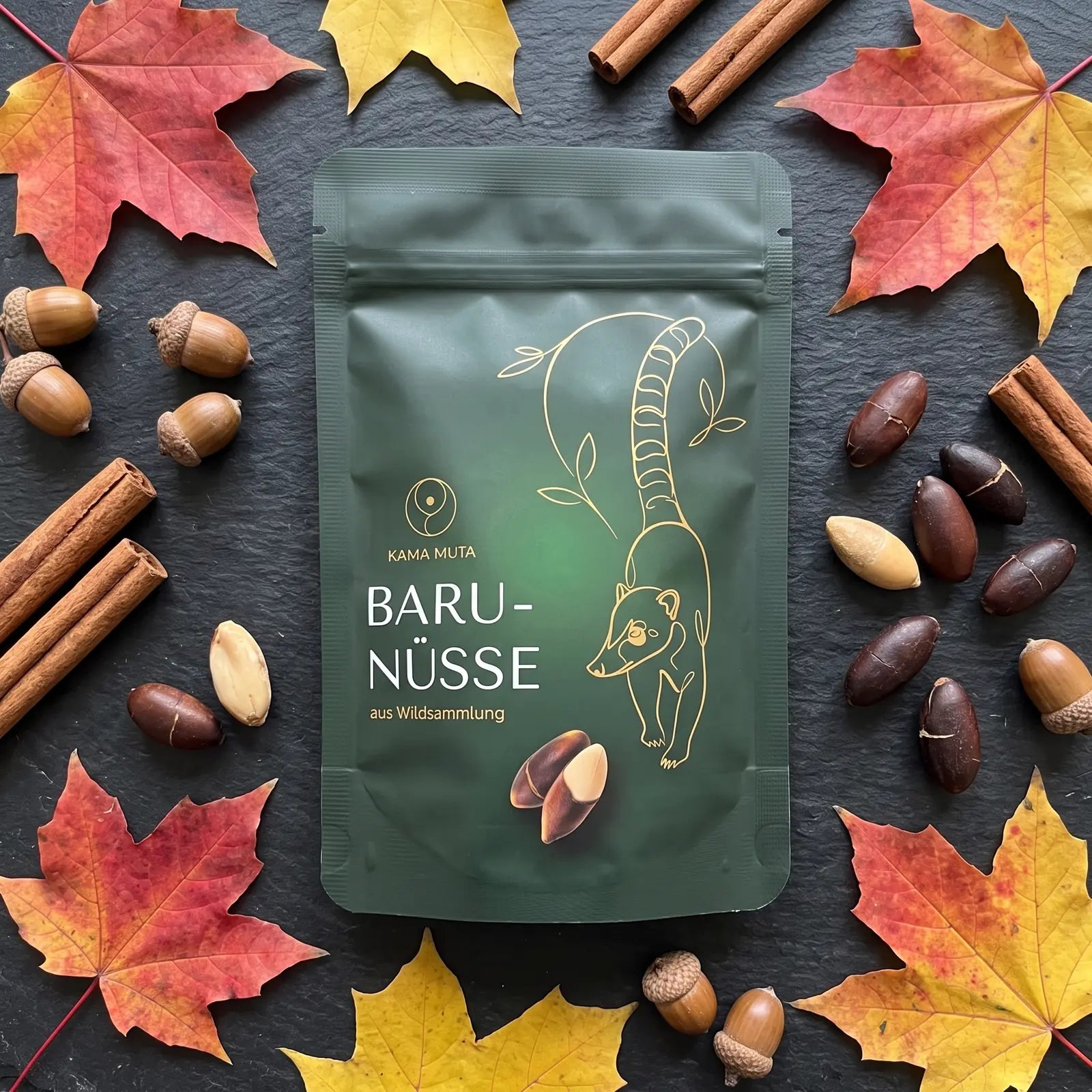 KAMA MUTA Baru-Nüsse 125 g liegend auf dunklem Schiefer zwischen roten und gelben Ahornblättern, Eicheln, Zimtstangen und gerösteten Baru-Nüssen (KI-generiert)