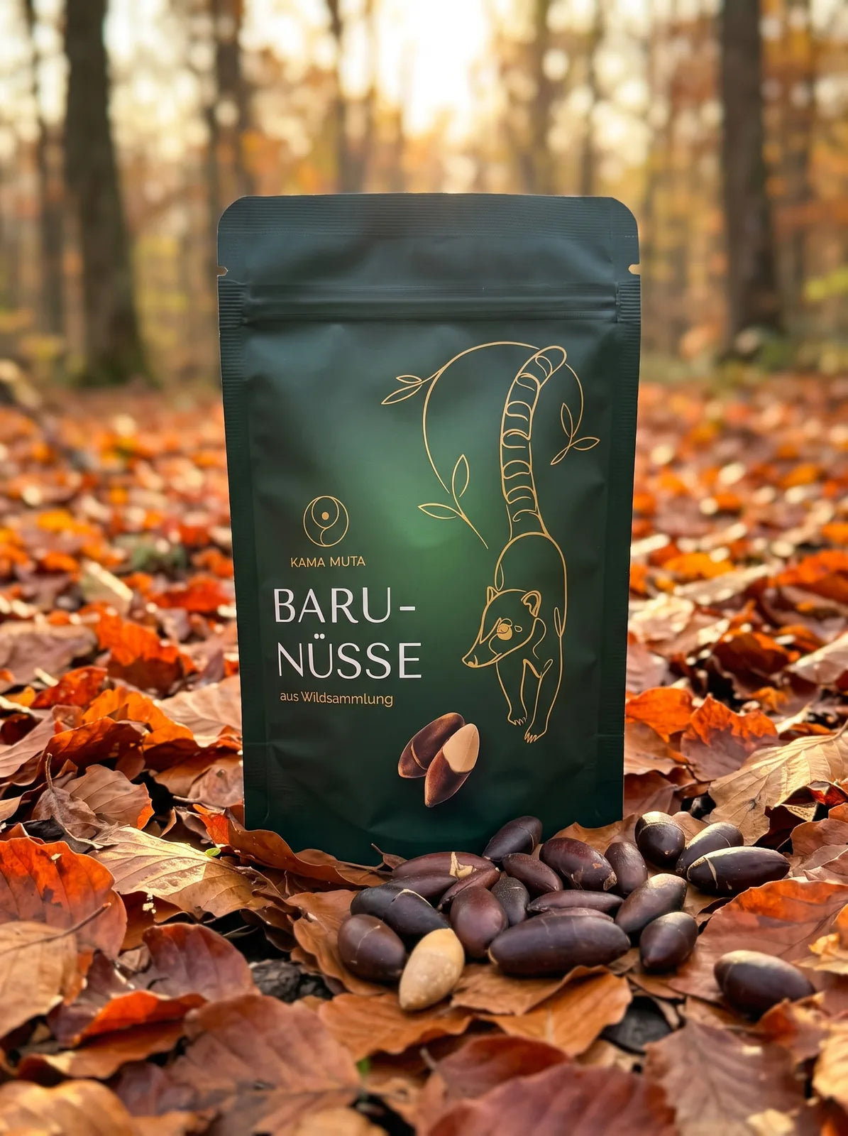 KAMA MUTA Baru-Nüsse 125 g auf Herbstlaub im Gegenlicht, davor geröstete Baru-Nüsse (KI-generiert)